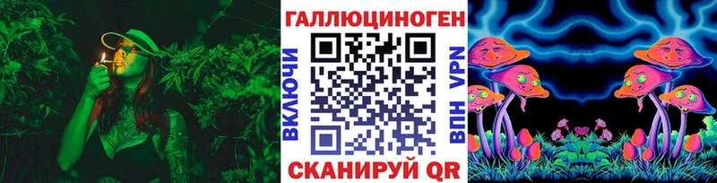 Галлюциногенные грибы GOLDEN TEACHER  Купить  Мариинск 